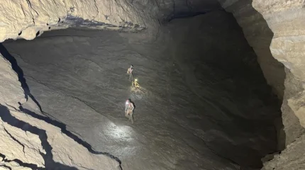 Азиядағы ең ұзын үңгірден алып панданың 52 сүйегі табылды