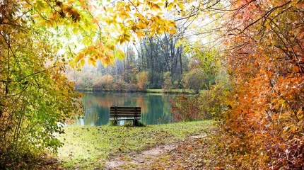 Осенний холод и тёплые дожди: прогноз погоды на 28 октября для Астаны, Алматы и Шымкента