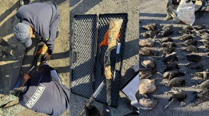 Қызылордада полицейлер заңсыз аңшылықпен айналысқан азаматты анықтады