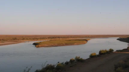 Қызылорда облысында қайраңда қалған балықтар құтқарылып жатыр