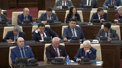 Депутат пранкерлерді жөнге салуды ұсынды