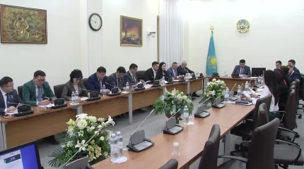 Мажилис обсуждает закон о запрете пропаганды ЛГБТ