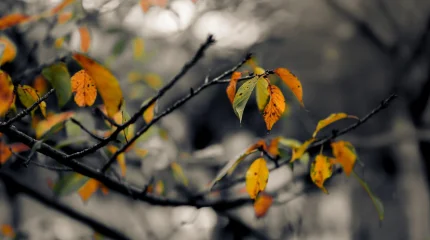 Похолодание и осадки идут в Казахстан