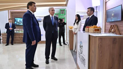 Президентке Қызылорда облысының инвестициялық жобалары таныстырылды