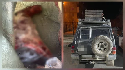 Қарағанды облысында полицейлер заңсыз киік аулау дерегін анықтады