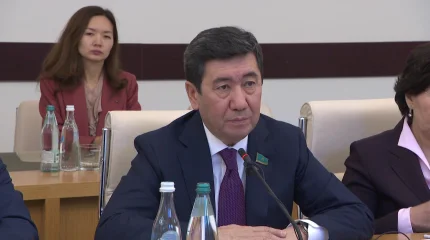 Мәжіліс төрағасы Грузияға ресми сапармен барды