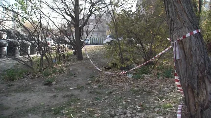 Алматыда анасын өлтіріп, мәйітін кілемге орап, қоқысқа тастаған күдікті ұсталды