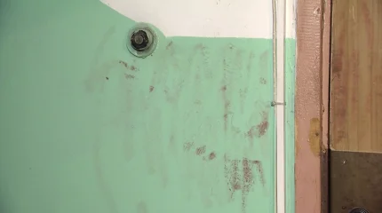 Найдено тело пожилой женщины в мусорном контейнере: под подозрением сын умершей