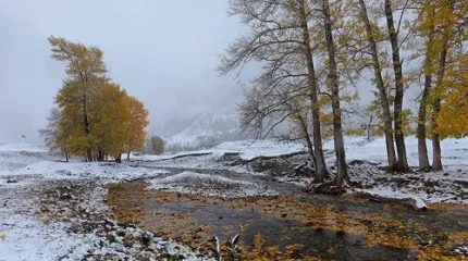 Метели и до -20: ноябрь 2025 обещает быть теплее обычного