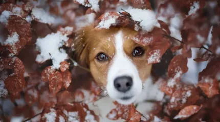 В Астане снег, в Шымкенте сильный ветер: погода в мегаполисах 1 ноября