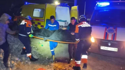 Падение в яму: в Жамбылской области пострадала женщина