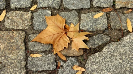 1 қарашадан бастап елімізде не өзгереді?