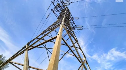 Павлодарда үш жастағы қыз ашық сымды ұстап, алақандарын күйдіріп алды