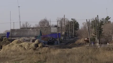 Қызылжар өңірінде жас жігіт диқанды мылтықпен атып өлтірген