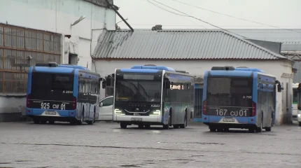 Число ДТП в Акмолинской области выросло на 13%