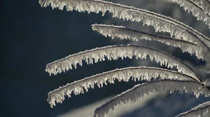Астанада қар жауды