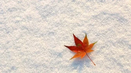 Метель в Астане, снег в Шымкенте: погода в мегаполисах во вторник, 4 ноября