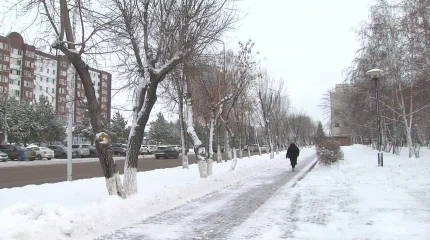 Асабалар мен риелторлар айыппұл арқалайды