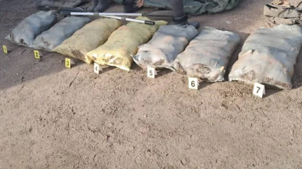 В Павлодарской области у браконьеров изъяли почти 300 кг рыбы