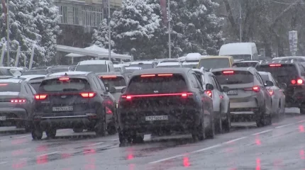 Сильный снегопад обрушился на Алматы