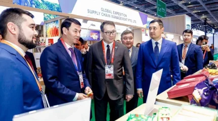 Қазақстан Шанхайдағы көрмеде төрт алаңда өз көрмесін  ұсынды