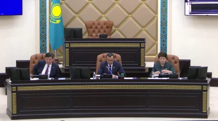 Сенат фонограмманы пайдалануға тыйым салатын заңды Мәжіліске қайтарды