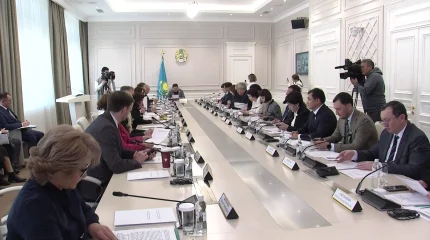 Алматыда Мәжіліс жанындағы Қоғамдық палата отырысында жергілікті мемлекеттік басқару туралы заң жобасы талқыланды