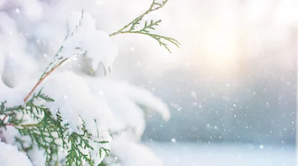 Еліміздің басым бөлігінде қар жауады