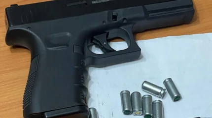 В Костанайской области изъяли оружие и патроны