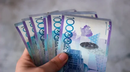 Жалған әлеуметтік төлемдер арқылы 217 миллион теңге жымқырған