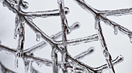 Некоторым школьникам отменили очные занятия в школах Павлодарской области из-за непогоды