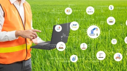 Қазақстанның 648 ауыл шаруашылығы өндірушісі цифрлық технологиялар мен жасанды интеллект элементтерін енгізіп жатыр