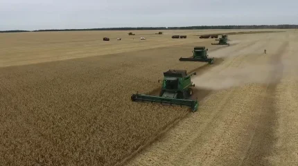 Объем льготного финансирования сельского хозяйства превысил 160 млрд тенге в СКО