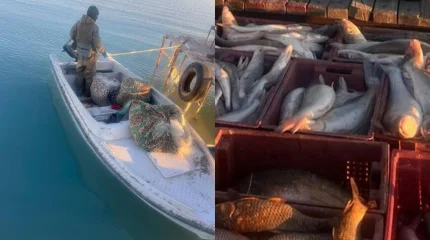 Браконьеров с крупным уловом задержали на Балхаше