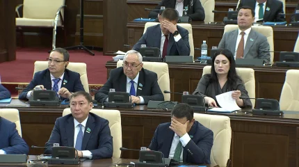 «ЭЦҚ арқылы жүкті әйелдердің атынан 217 млн теңге ұрланған», - депутат