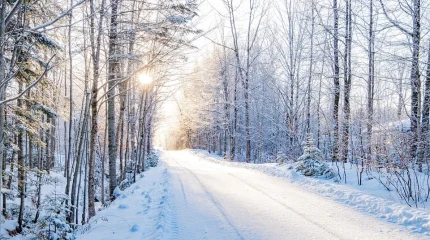 Биыл қыс жылы болады