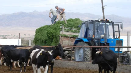 Қасым-Жомарт Тоқаев саладағы маман тапшылығы мәселесін көтерді