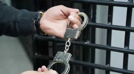 Ұлытау облысында мал ұрлығымен айналысқан қылмыстық топ ұсталды