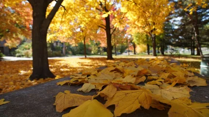 Прогноз погоды на 15 ноября 2025 года