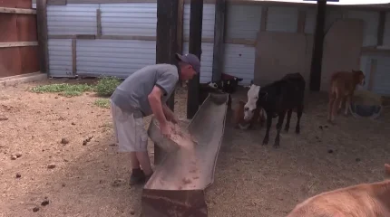 Ұлытауда аграрлық серпіліс: ауыл шаруашылығы саласында жаңа жобалар жүзеге асуда