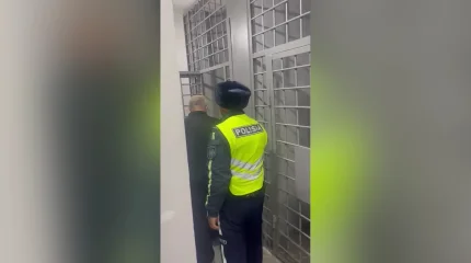 Пьяного водителя фуры с 30 тоннами бытовой техники остановили на трассе Алматы–Екатеринбург