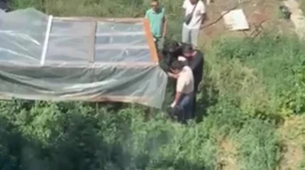 Павлодардалық тұрғыннан каннабис бұталары тәркіленді