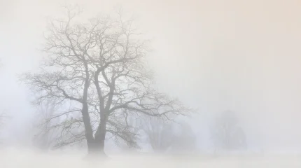 Тұман түсіп, көктайғақ болады: дауылды ескерту жарияланды