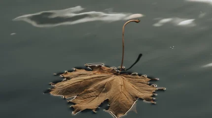 Тёплый понедельник обещают синоптики жителям мегаполисов Казахстана