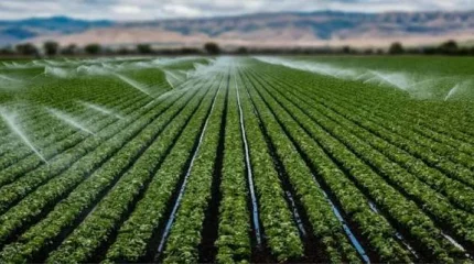 Суару суын пайдаланатын тұтынушыларға 177 млн теңгеден астам қаражат қайтарылады