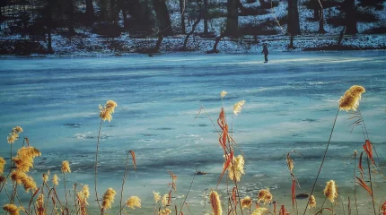 Үш бала мұз астына түсіп кетті