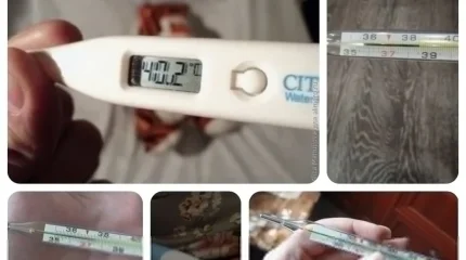 Не надо паники: Минздрав опроверг информацию о «новом штамме гриппа» в Казахстане