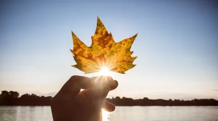 Погода без осадков ожидается в мегаполисах в среду, 19 ноября