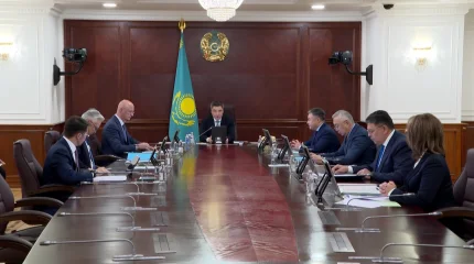 Пожар в Туркестанской области: Бектенов дал ряд поручений