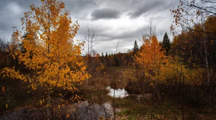 Прогноз погоды на 21 ноября 2025 года в городах Казахстана